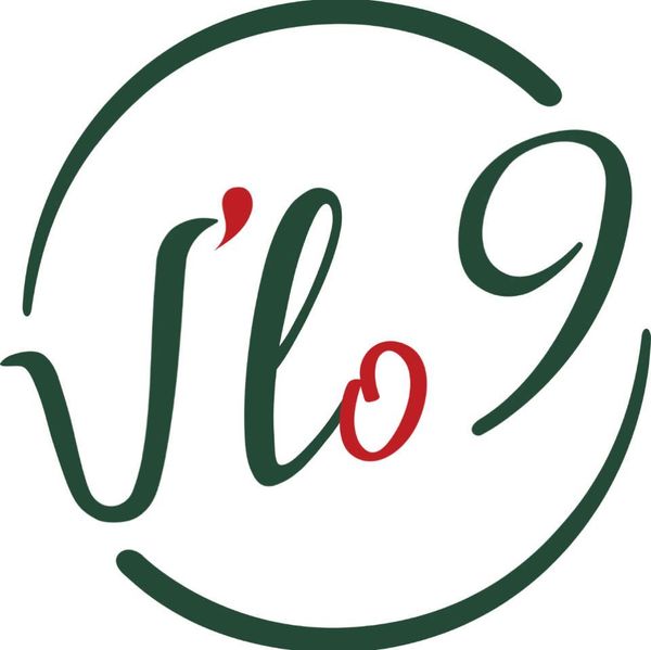 Logo Vlo9